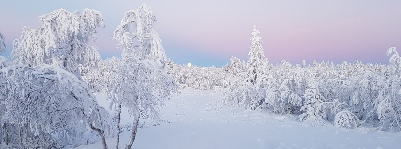 Winter